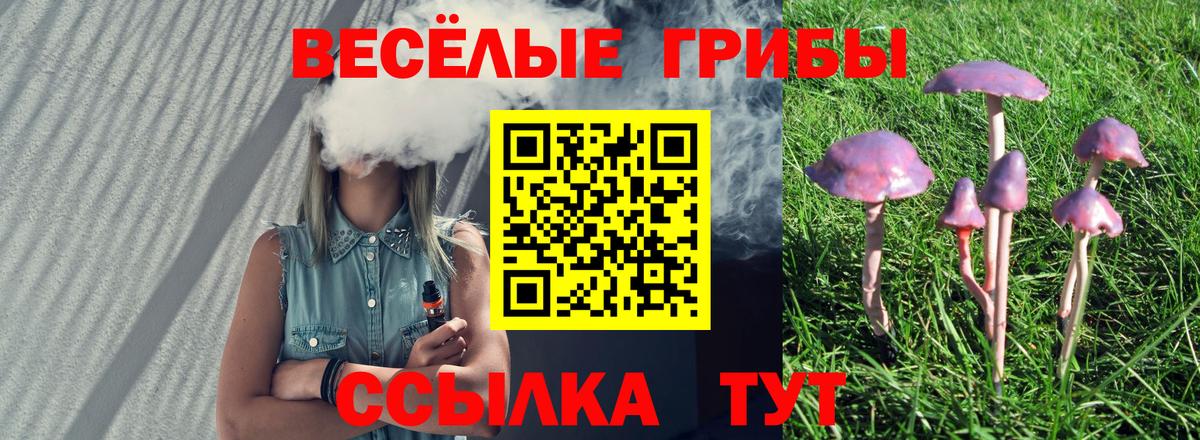 Галлюциногенные грибы ЛСД Липецк