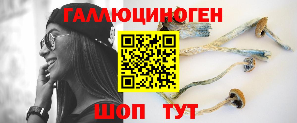 Липецк  Псилоцибиновые грибы прущие грибы  цены наркотик  Вход с VPN 